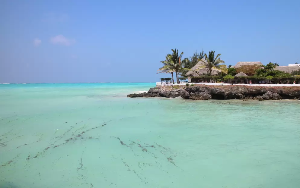 Zanzibar - Zanzibar_2432.jpg