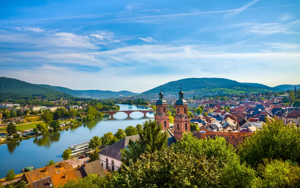 Main River Cruises