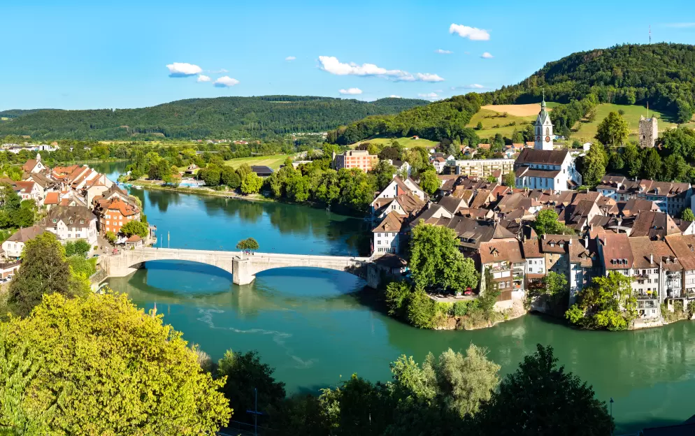 Rhine River Cruises