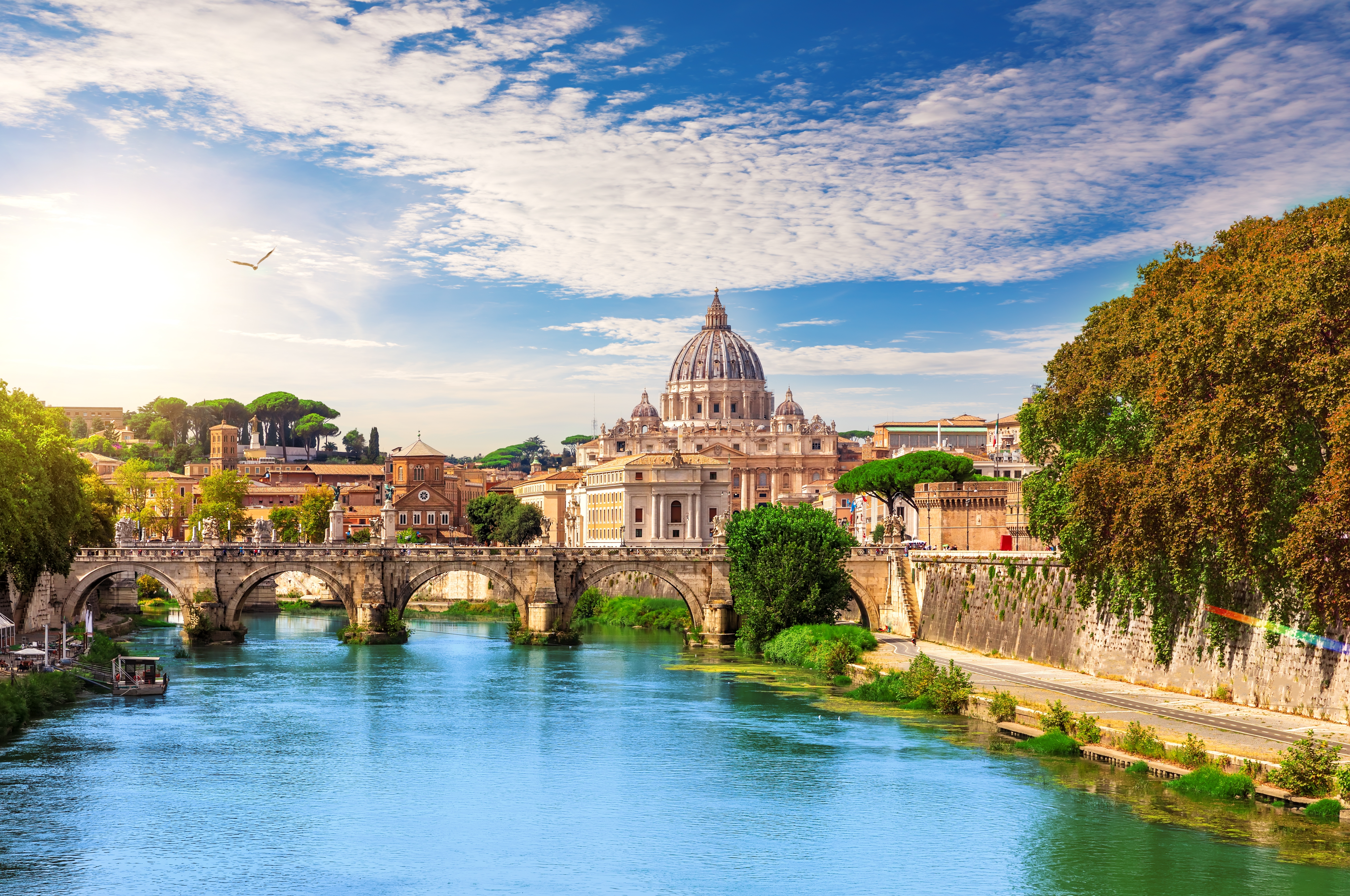 shutterstock_2289486981