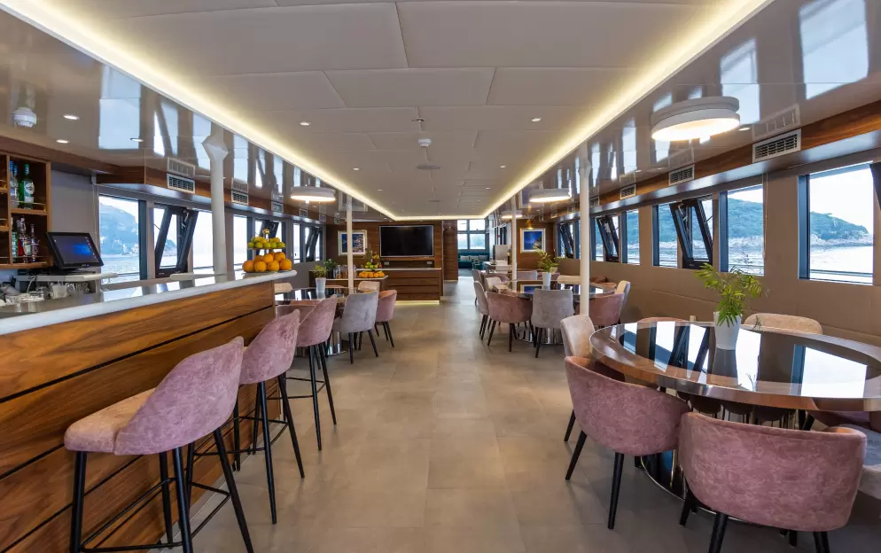 APT MV Eleganza Bar and Lounge 1.jpg