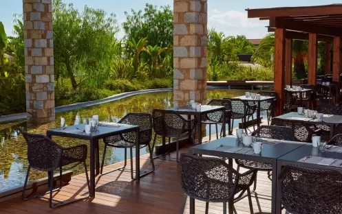 europe-holidays-greece-costa-navarino-the-westin-resort-costa-navarino-hotel-Morias europe-holidays-greece-costa-navarino-the-westin-resort-costa-navarino-hotel-Morias