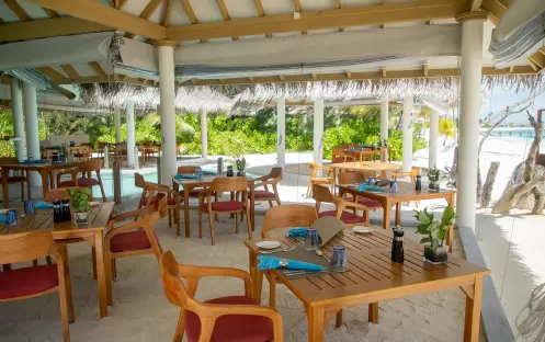 indian-ocean-holidays-maldives-sun-siyam-iru-veli-grouper- grill indian-ocean-holidays-maldives-sun-siyam-iru-veli-grouper- grill