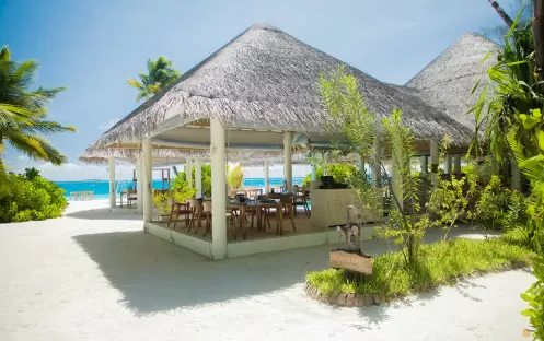 indian-ocean-holidays-maldives-sun-siyam-iru-veli-grouper- grill indian-ocean-holidays-maldives-sun-siyam-iru-veli-grouper- grill