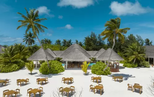 indian-ocean-holidays-maldives-sun-siyam-iru-veli-grouper- grill indian-ocean-holidays-maldives-sun-siyam-iru-veli-grouper- grill
