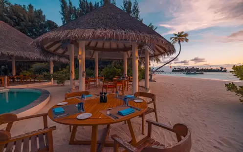 indian-ocean-holidays-maldives-sun-siyam-iru-veli-grouper- grill indian-ocean-holidays-maldives-sun-siyam-iru-veli-grouper- grill