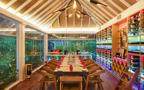 indian-ocean-holidays-maldives-sun-siyam-vilu-reef-maldives-wine-cellar