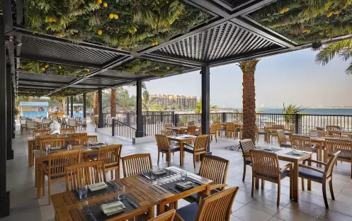 middle-east-holidays-ras-al-khaimah-doubletree-by-hilton-resort-spa-marjan-island-hotel-brasserie