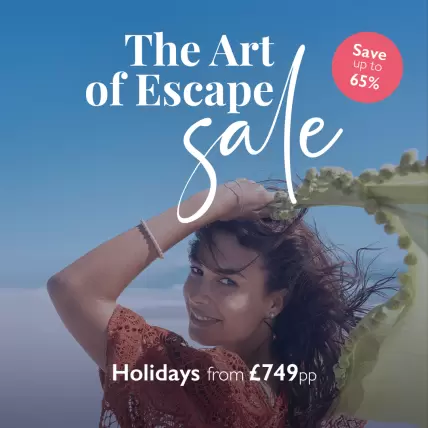 The Art of Escape Sale