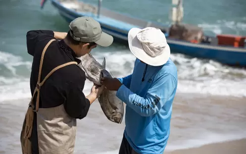 thailand-holidays-koh-samui-garrya-tongsai-bay-samui-hotel-fish-tales