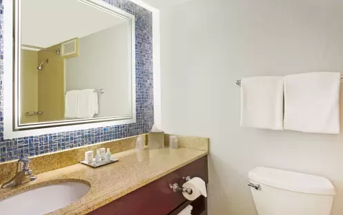 Wyndham Lake Buena Vista - Disney Springs Area-2 Queen Beds, Lake View