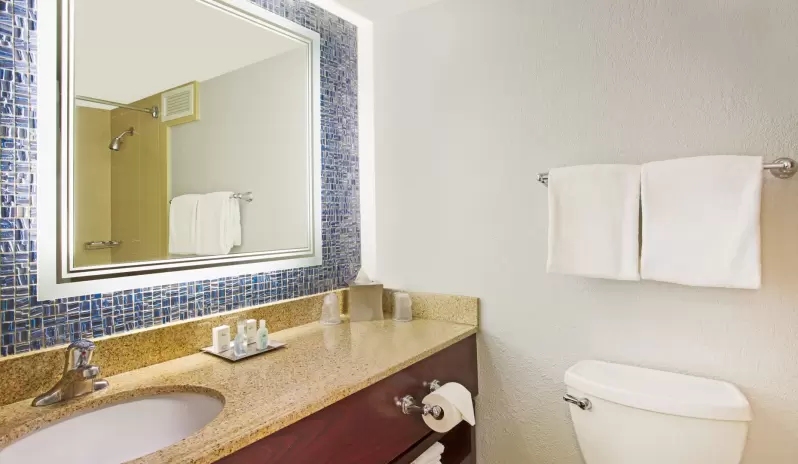 florida-holidays-orlando-lake-buena-vista-wyndham-lake-buena-vista-disney-springs-area