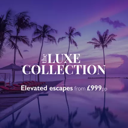 The Luxe Collection