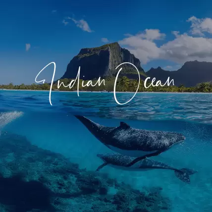 Indian Ocean Holidays