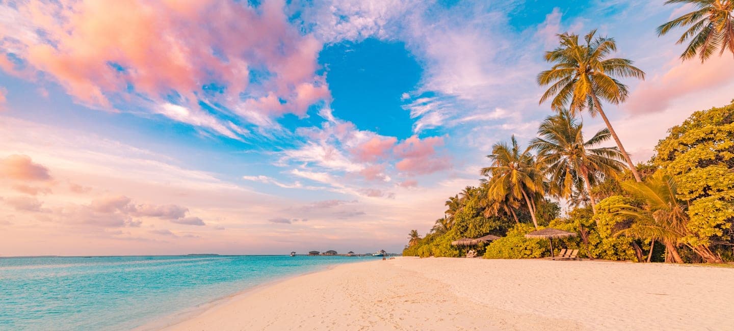 shutterstock_2385515923